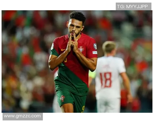 葡萄牙男足球星表现回顾与未来发展展望